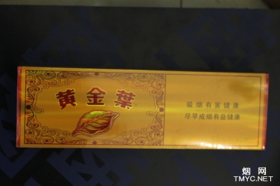 黄金叶(流金岁月)