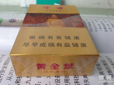 黄金叶(洛烟)