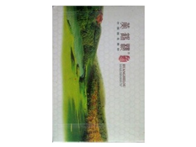 黄鹤楼(春·品道硬)照片