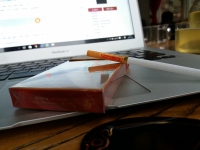 南京金陵十二钗烤烟