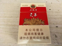 天子(五粮香20年)香烟