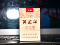 黄金叶(天叶)香烟