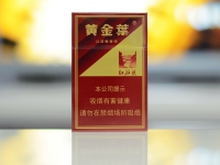 硬10渠