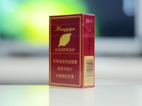 硬10渠