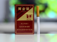 硬10渠烟支