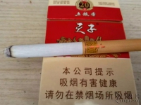 天子(五粮香20年)香烟品吸