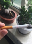 散花香烟品吸