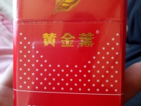 黄金叶出口