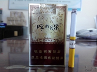 呼伦贝尔金戈铁马香烟品吸