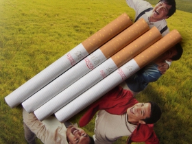 红杉树(软红)香烟烟支