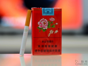 牡丹(软)香烟烟支