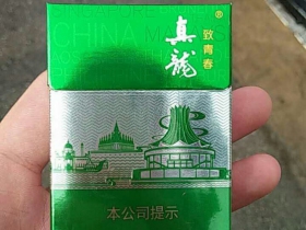 真龙(致青春)