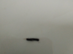 93243_29022