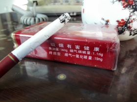 红旗渠(软红横装)