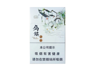 云烟乌镇之恋正面照