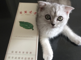 七匹狼(翠碧壹号)