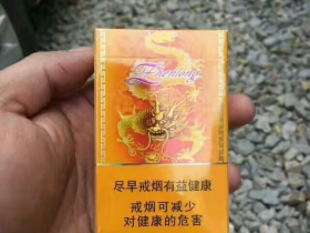 真龙(金韵)