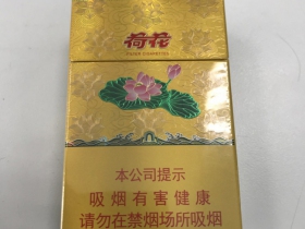 93339_93638