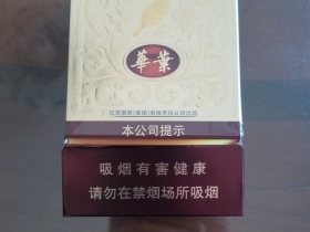 92892_51281