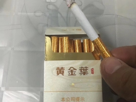 黄金叶(天河)