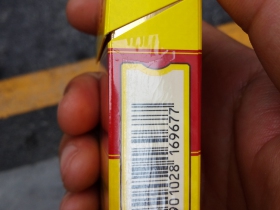 297_38600