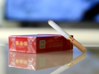 硬洛阳牡丹