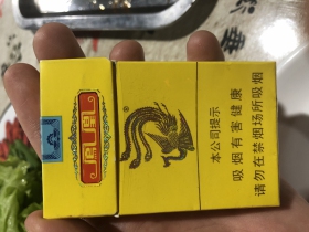 92667_98591