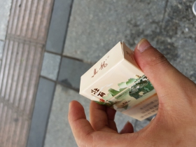 真龙(壮丽)
