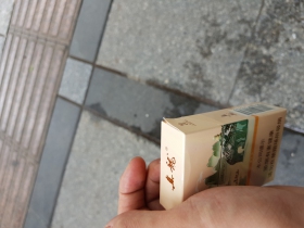 真龙(壮丽)
