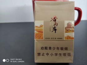 金圣(滕王阁香两岸)