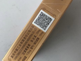 天子(新时代)
