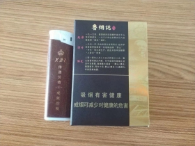 1667_29904