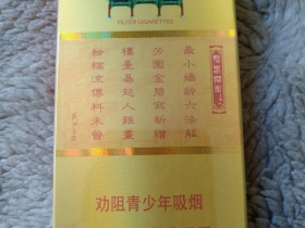 南京(金陵十二钗烤烟)