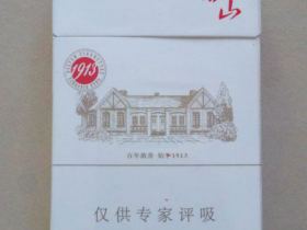 泰山(1913)