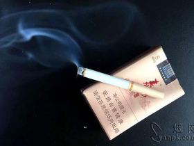 泰山(乐章)