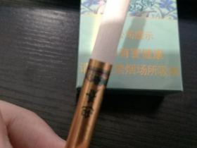 长白山(迎春中支)