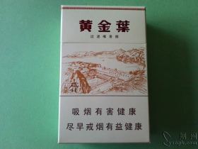 黄金叶(三门峡)