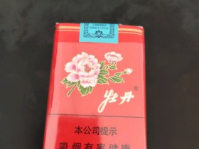 851_80081