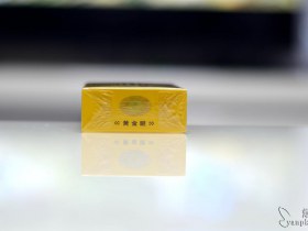 295_20502