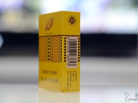 295_90381