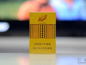 295_50690
