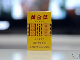 295_40259