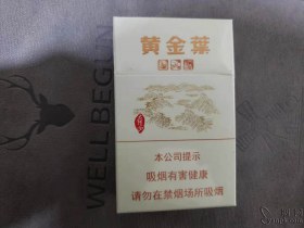 黄金叶(太行山)