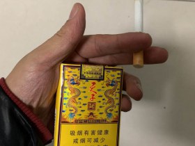 娇子(软传奇天子)
