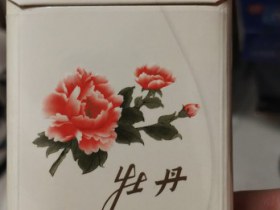 93338_40813