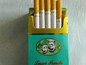小熊猫(精品)