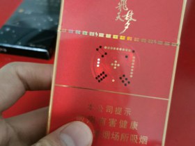 兰州(飞天梦中支)