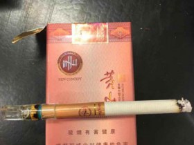 黄山(新概念)