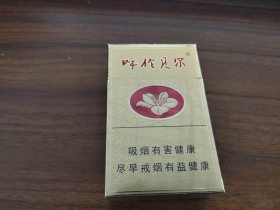 518_93067