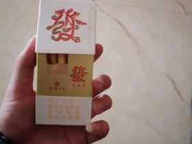 龙凤呈祥(硬道理)